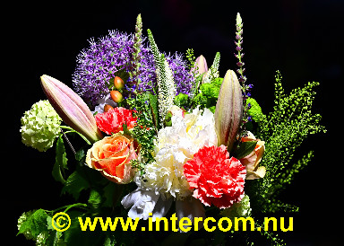 067_2025-05-13 23-15-25 (A,R8,S4)_2791